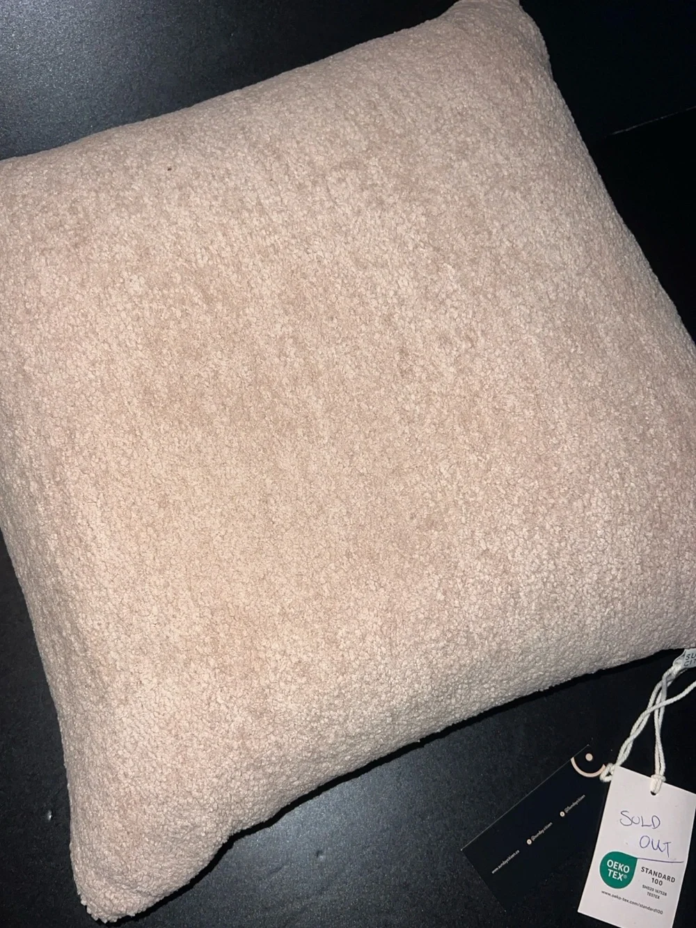 Sunday Citizen “snug” pillow with muslin flip side -  20” x 20”-NWT